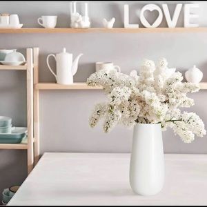 D'vine Dev Elegant Oval Ceramic Vase